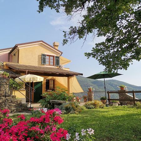 Elsa House Panzió Mezzanego Kültér fotó