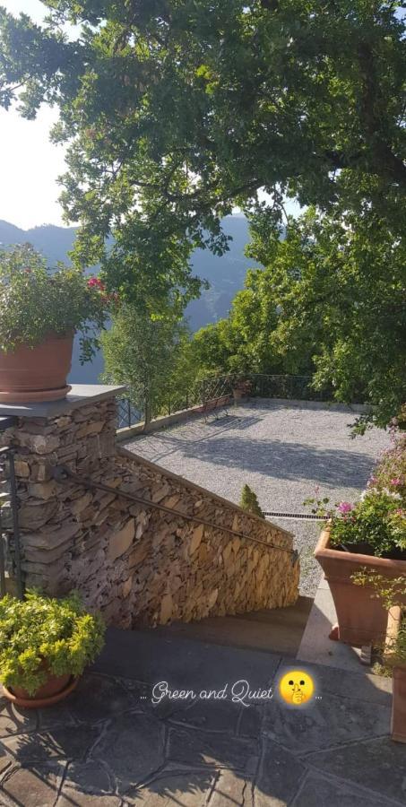 Elsa House Panzió Mezzanego Kültér fotó