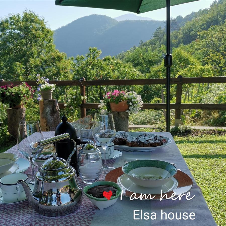 Elsa House Panzió Mezzanego Kültér fotó
